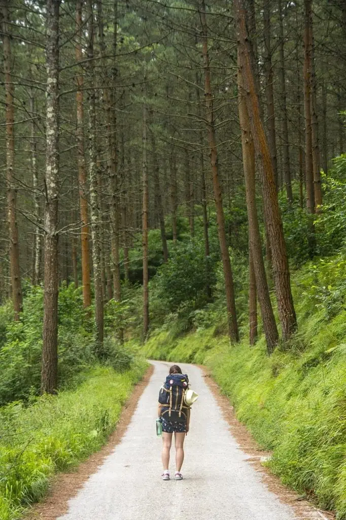 Wandelroutes in Bussum